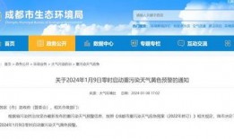 武汉热搜爆料最新消息,最新爆料揭示惊人真相！